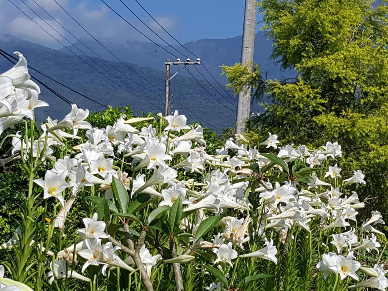 Yi Tian Homestay Fenglin Esterno foto